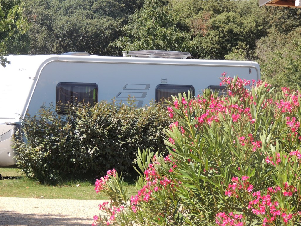 Camping Sommières Près De Nîmes | Domaine De Gajan : Dscn4335 Copier