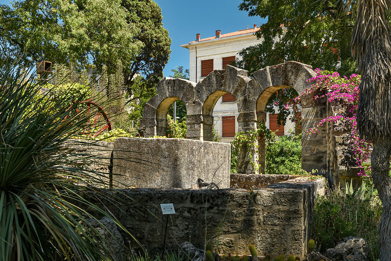 visite du jardin des plantes à Montpellier